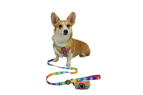 The Ultimate Bundle- Pawsitive Vibes