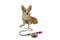 The Ultimate Bundle- Pawsitive Vibes