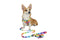 The Ultimate Bundle- Pawsitive Vibes