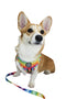 Adjustable Harness - Pawsitive Vibes