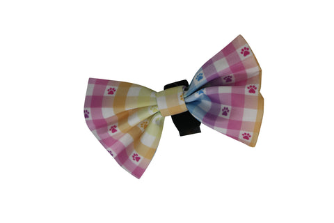 Bow Tie- Check Me Out