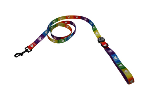 Fabric Leash - Pawsitive Vibes