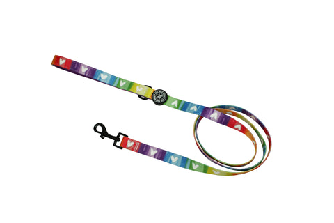 Fabric Leash - Pawsitive Vibes