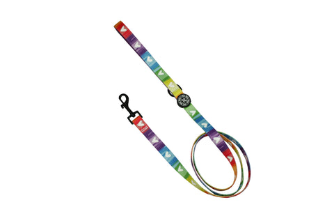 Fabric Leash - Pawsitive Vibes