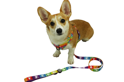 Fabric Leash - Pawsitive Vibes