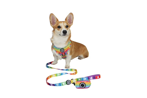 Fabric Leash - Pawsitive Vibes