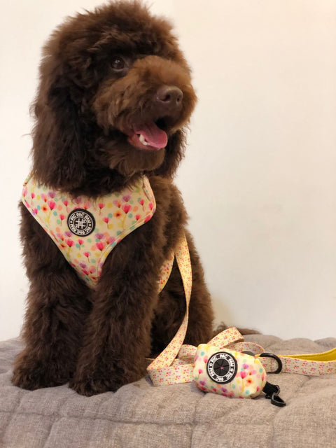 Adjustable Harness - Magic In Bloom