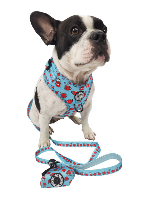 Adjustable Harness - Hot Dogolate