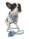 Fabric Leash - Hot Dogolate