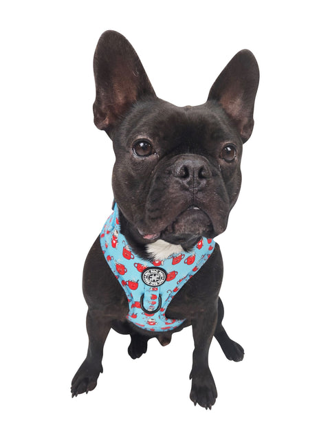 Adjustable Harness - Hot Dogolate