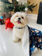 Comfy Pet Blanket- Harry Pupper