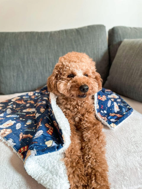 Comfy Pet Blanket- Harry Pupper