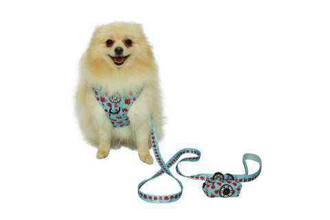 Fabric Leash - Hot Dogolate