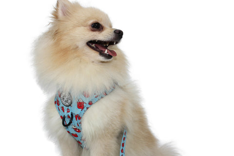 Adjustable Harness - Hot Dogolate