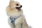 Adjustable Harness - Hot Dogolate