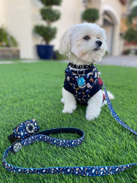 Fabric Leash - Harry Pupper