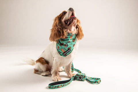 Fabric Leash - Yalla Habibi