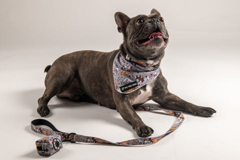 The Ultimate Bundle- Doga