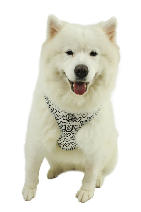 Adjustable Harness - Heart to Heart