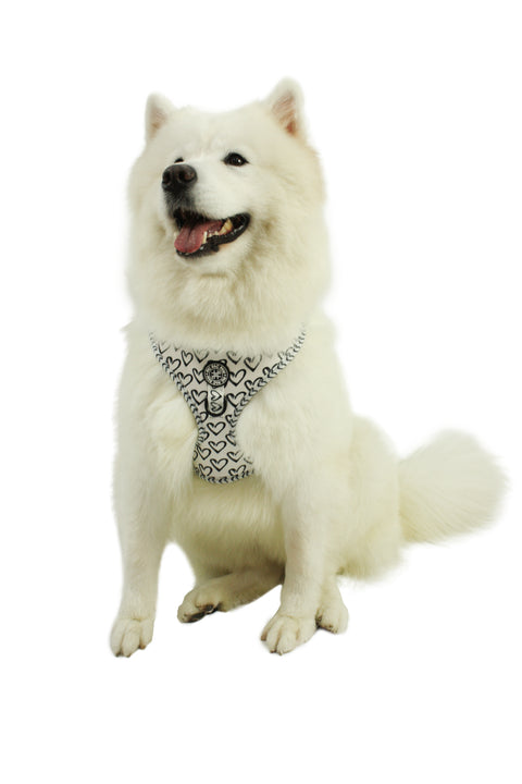 Adjustable Harness - Heart to Heart