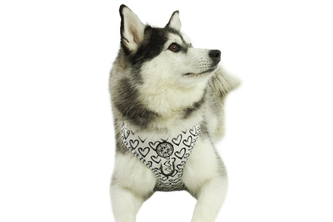 Adjustable Harness - Heart to Heart