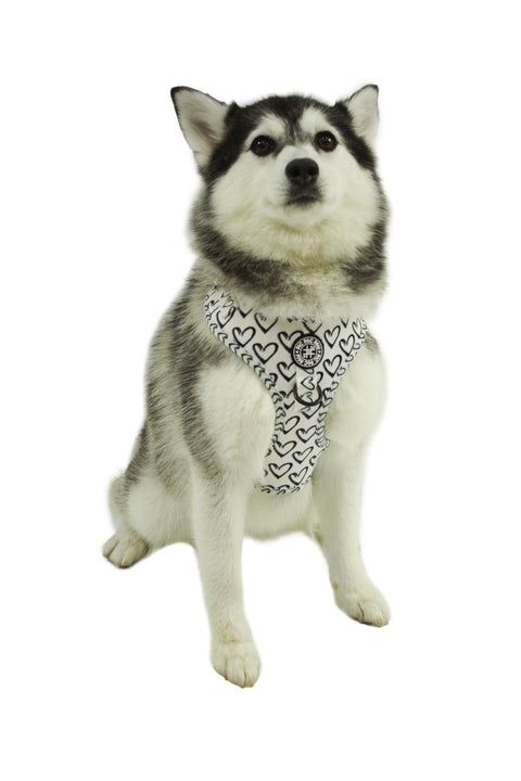 Adjustable Harness - Heart to Heart