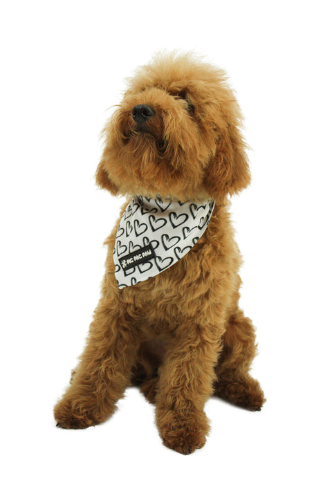 Bandana - Heart to Heart